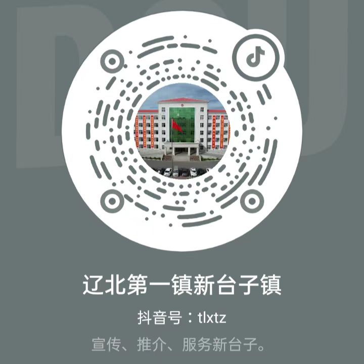 辽北第一镇新台子镇抖音号