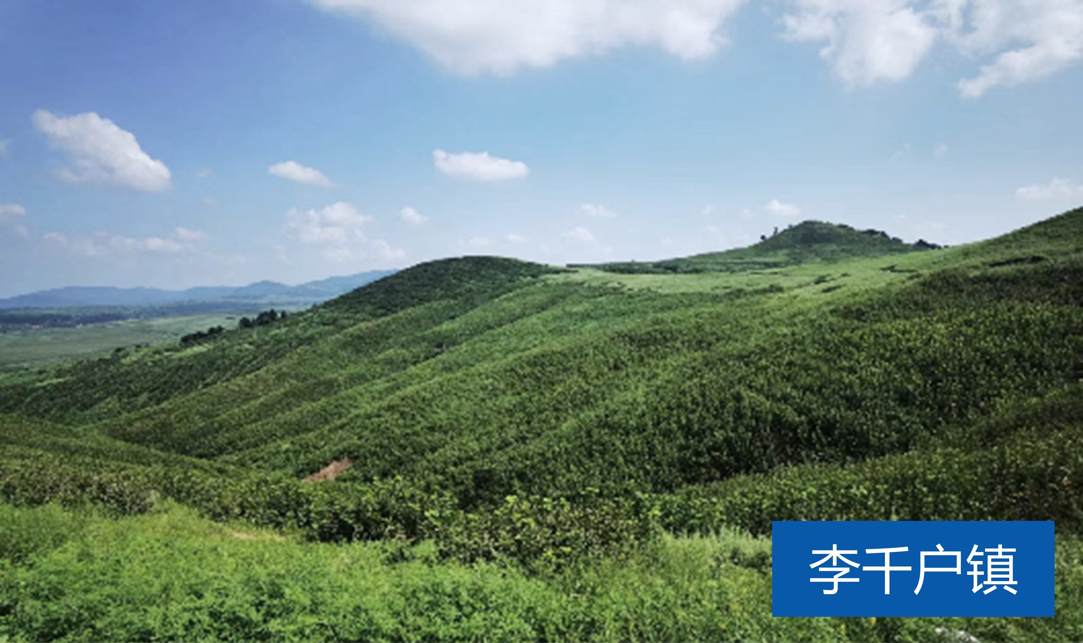 李千户镇