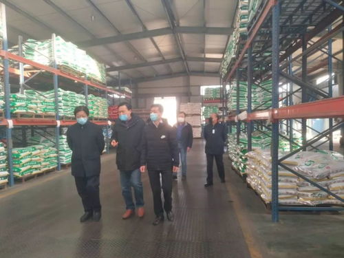 安池集團(tuán)預(yù)混料基地迎來山東省畜牧獸醫(yī)局唐建俊局長(zhǎng)一行調(diào)研指導(dǎo)，聚焦畜牧漁業(yè)飼料銷售發(fā)展