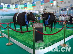 2007中國畜牧業暨飼料工業展覽會 行業創新與合作共贏的年華